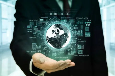 What is data scientists
